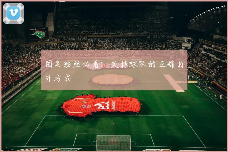 国足粉丝必看：支持球队的正确打开方式
